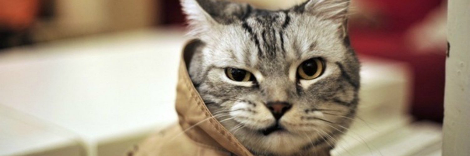 ktot2217's profile banner image