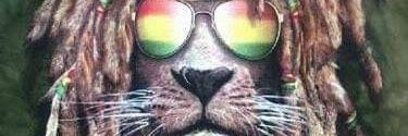 psyko_lion's profile banner image