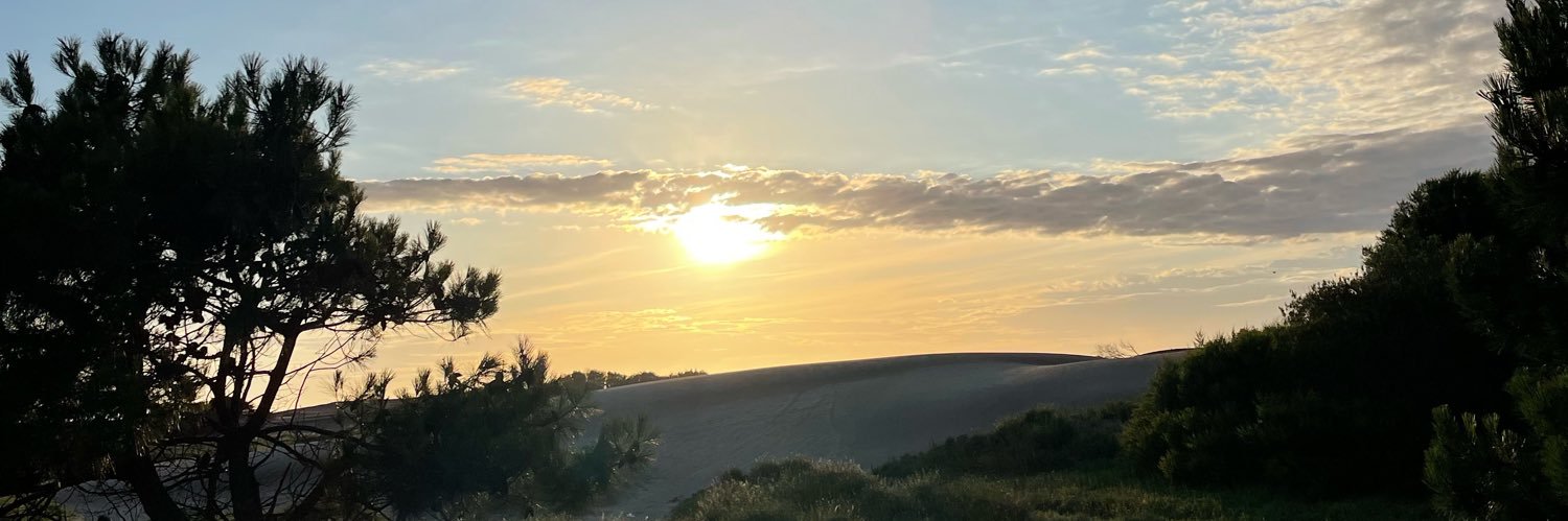 more_g29's profile banner image