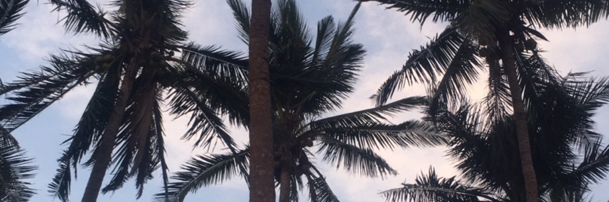 maicapradoo's profile banner image