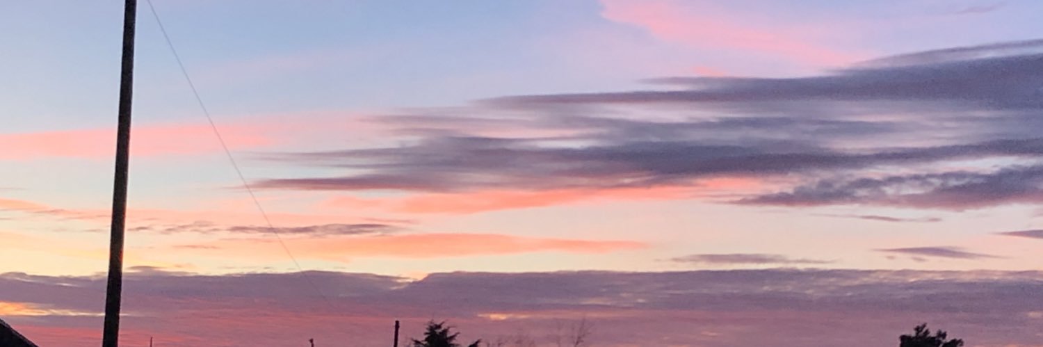 KateAdams14's profile banner image