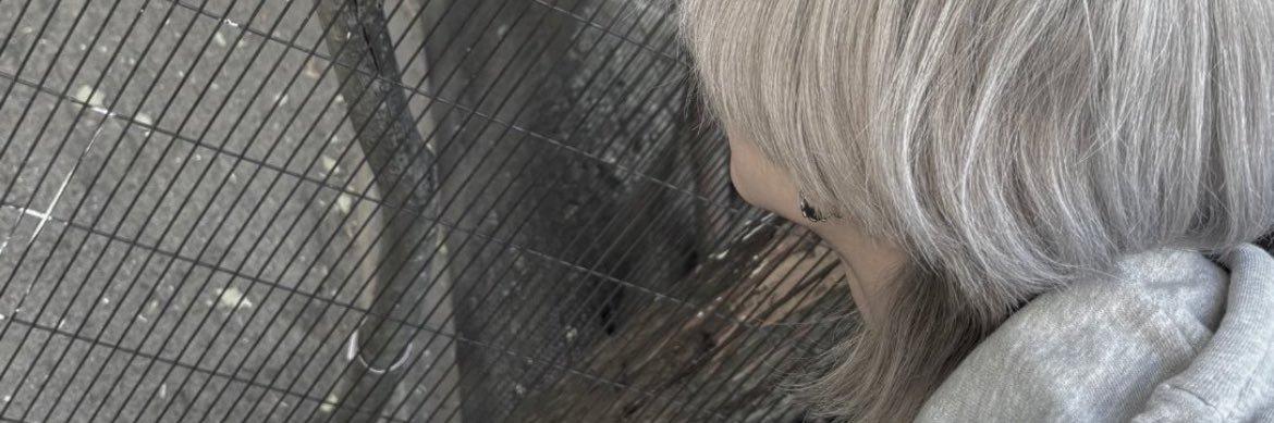 theonysta's profile banner image