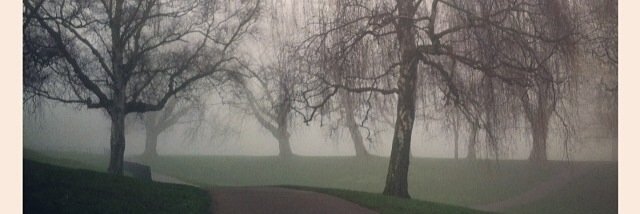 Veronicagj's profile banner image