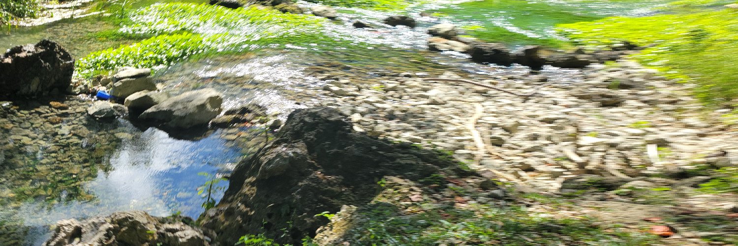 KellyT94's profile banner image