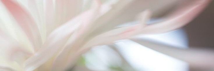 yesiamtichaaa's profile banner image