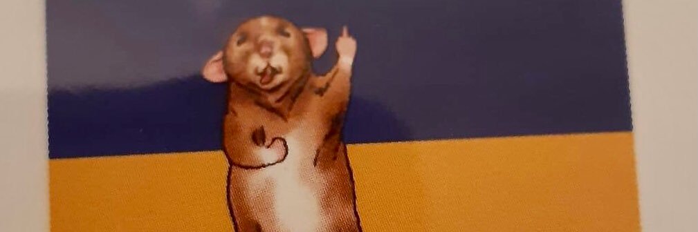 acrorat's profile banner image