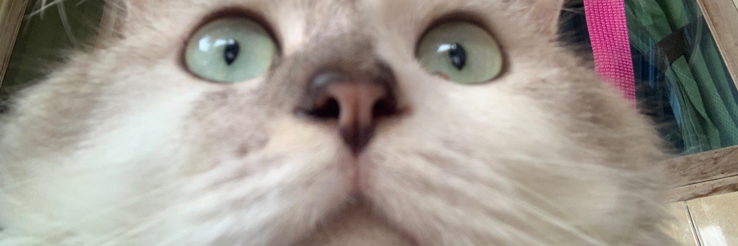 peppsky's profile banner image