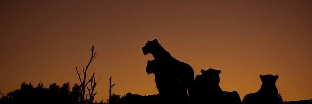 Otmar436's profile banner image