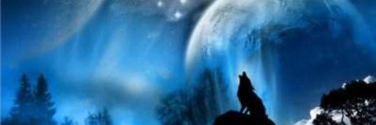 ndrouot's profile banner image