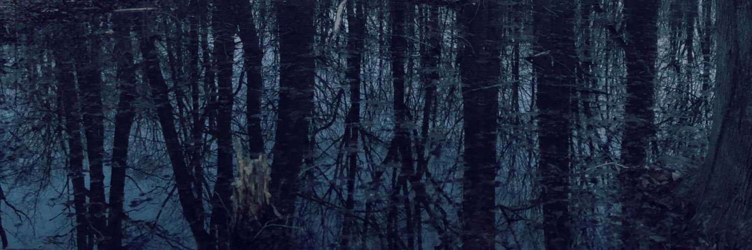 mariaaherring's profile banner image