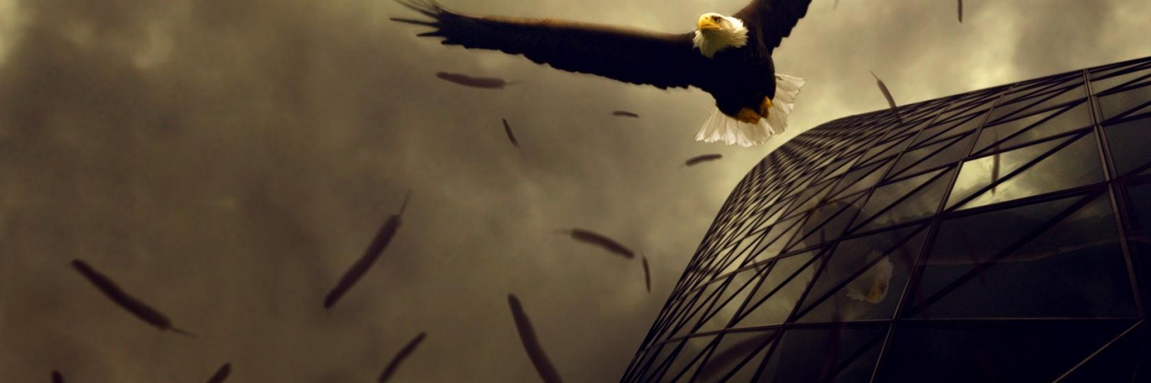 rylmz24's profile banner image