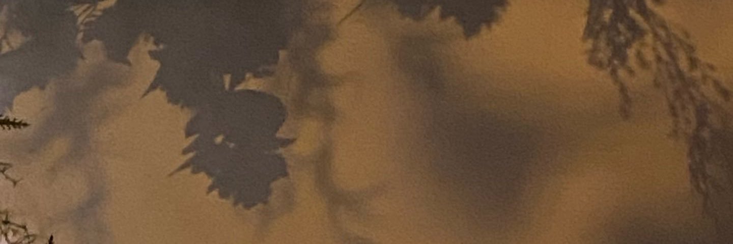 bethxlrx's profile banner image