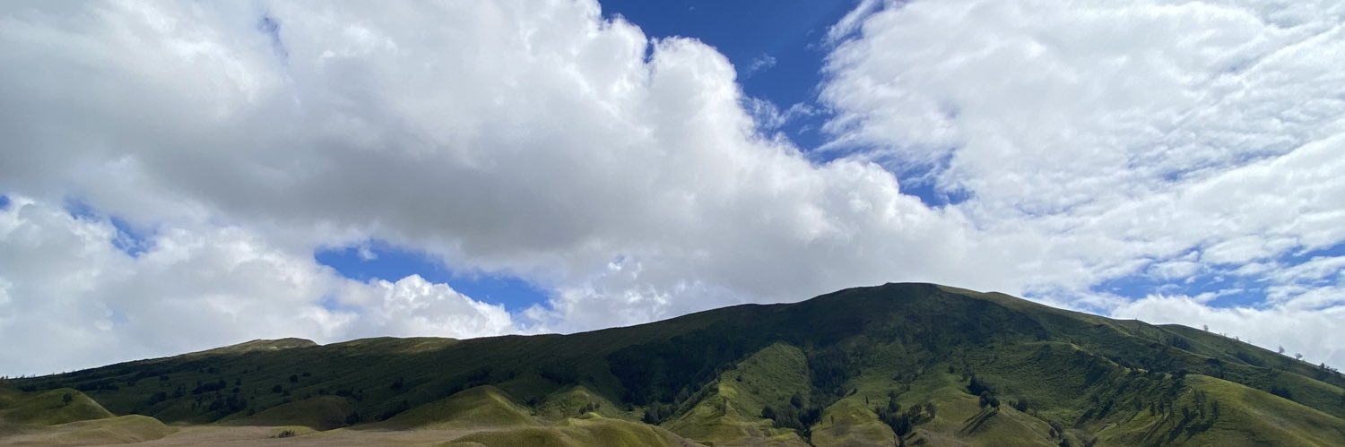 m o n a banner