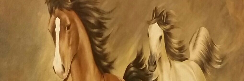 waalidm050's profile banner image