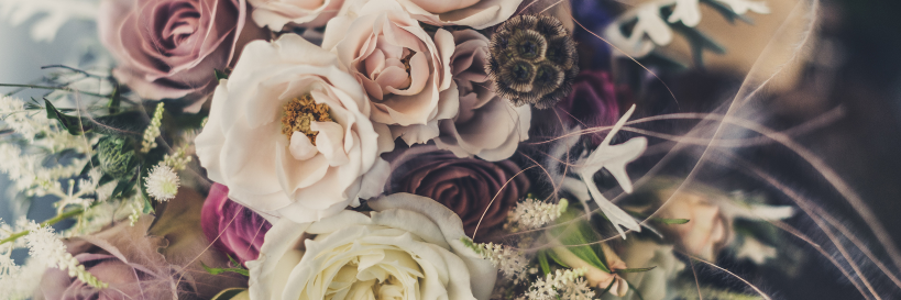 rosagalan's profile banner image