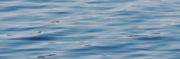 aisbelllaa's profile banner image