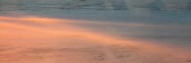 RachelFleaux's profile banner image