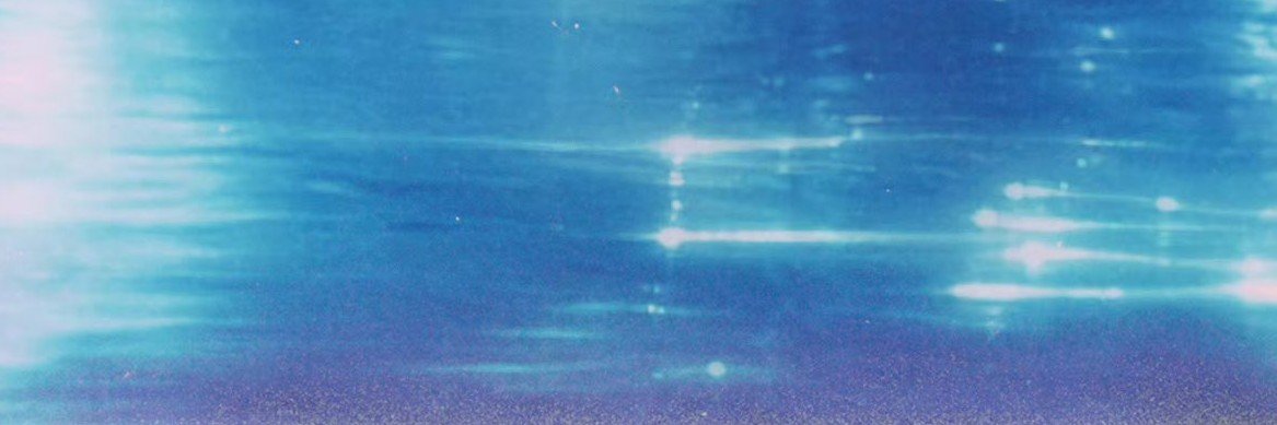 wdscya's profile banner image