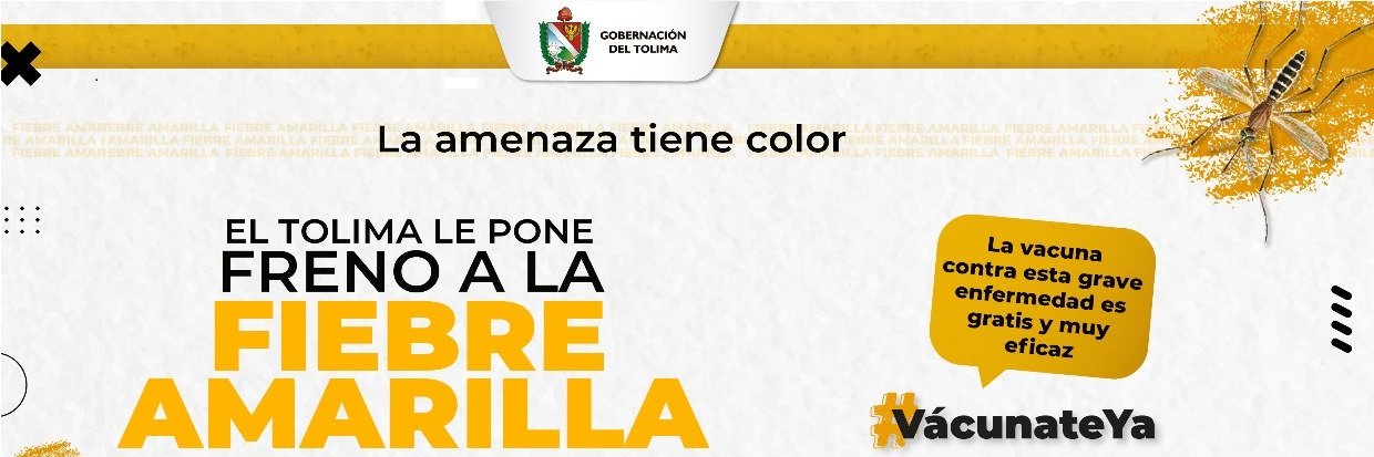 sedtolima's profile banner image