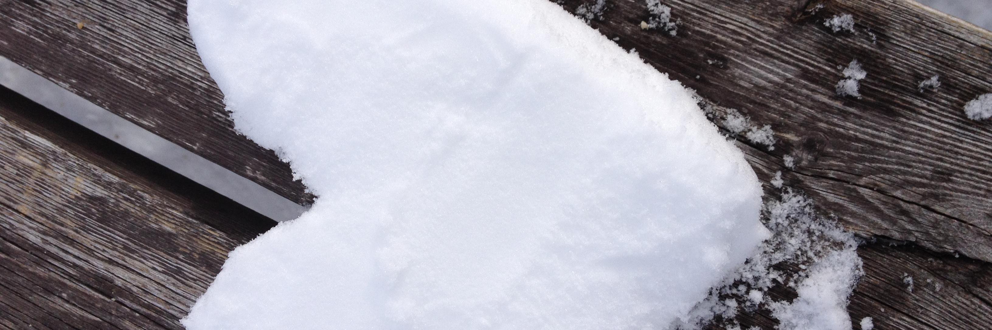 glasiustischer's profile banner image