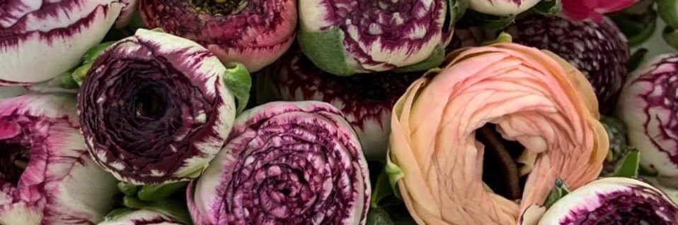 FDFlowers's profile banner image