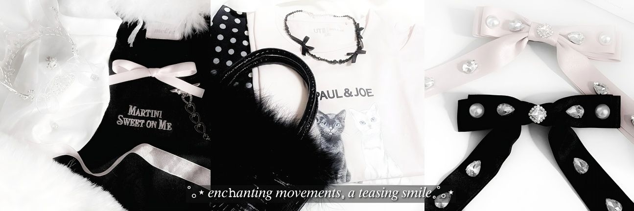 Jolav banner