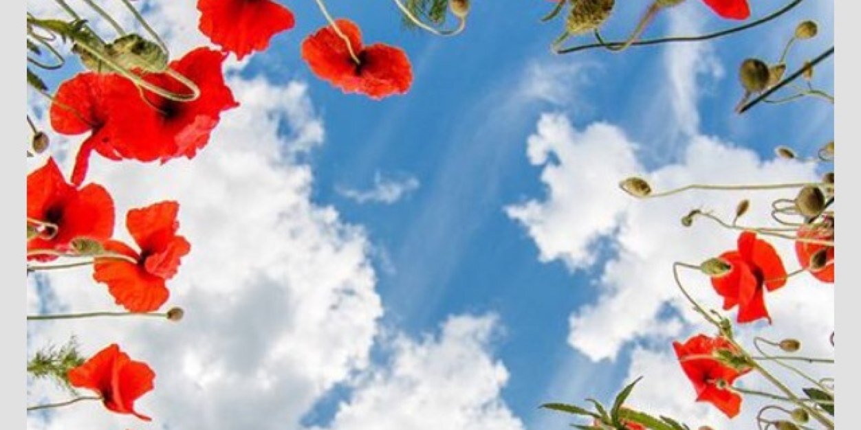 MissyJ1981's profile banner image