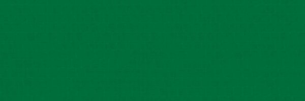 SparkSafeLTP Profile Banner