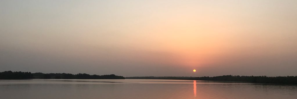 elisedewolf_'s profile banner image