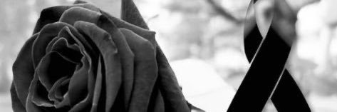 noindepencat's profile banner image
