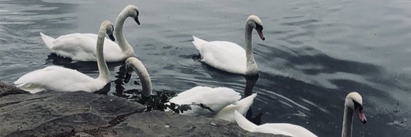 RachelFairfiel1 Profile Banner