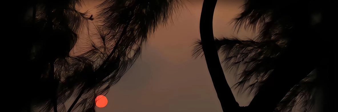 pzrrspp's profile banner image