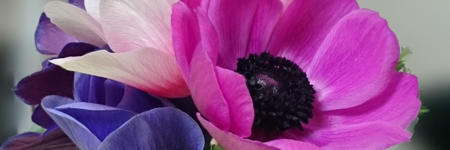 chick_eight's profile banner image