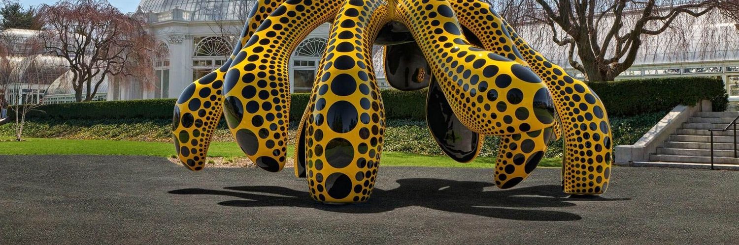 Ognjen Brborović banner