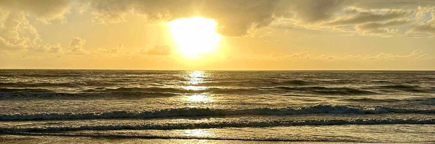 BrendaBorghezan's profile banner image
