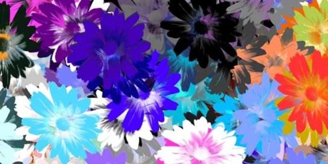 emilyharding_'s profile banner image