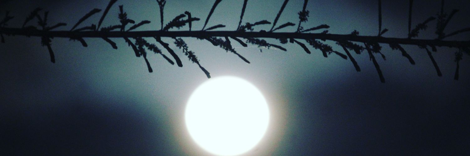 olilimlee11's profile banner image