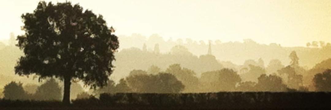 AlexSamways's profile banner image