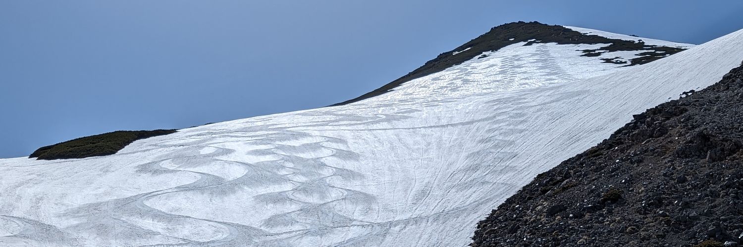 kuro_innu's profile banner image