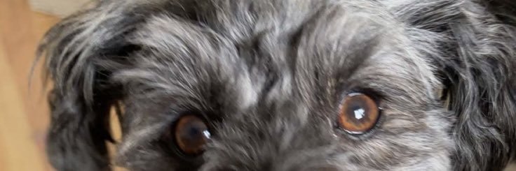 Deephill's profile banner image