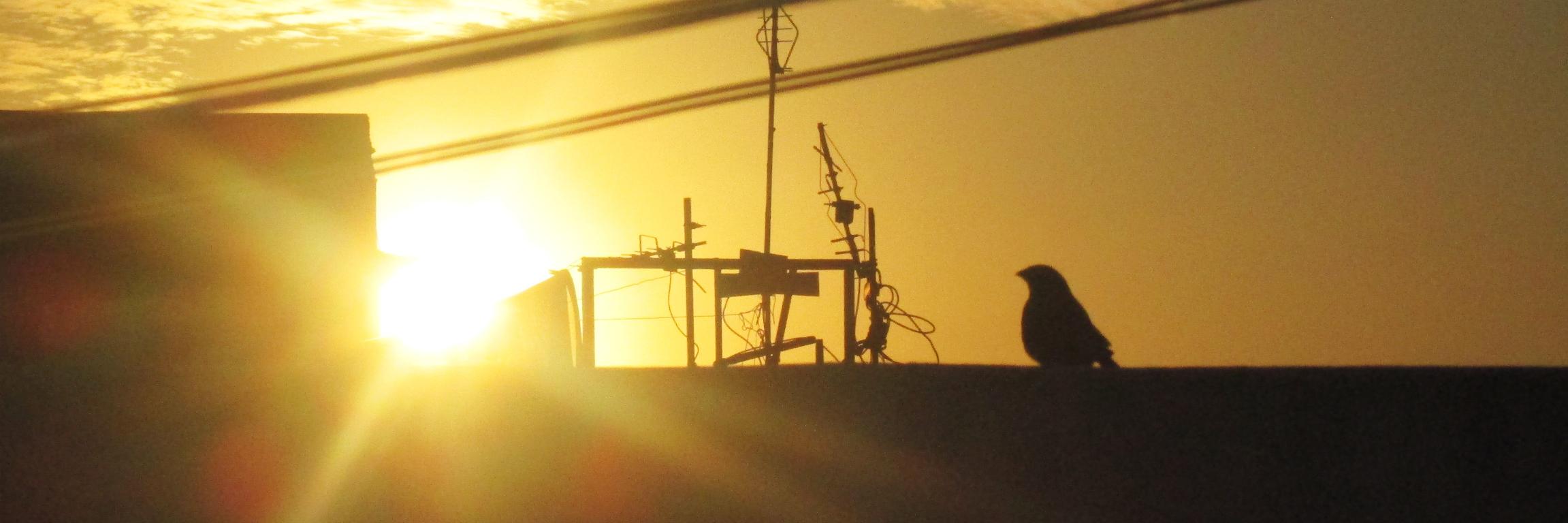 onlyboyintown's profile banner image