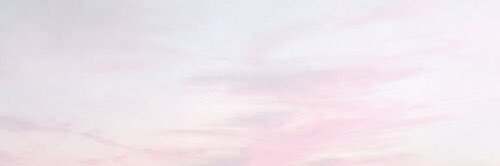 busansbear's profile banner image