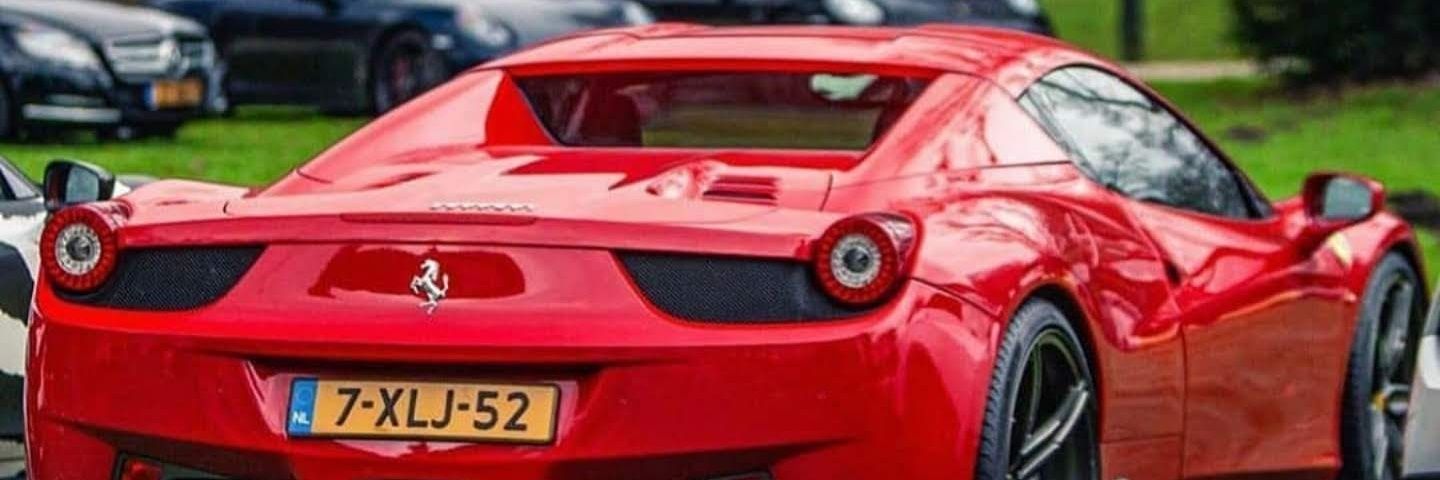 Sarogalluzzo's profile banner image