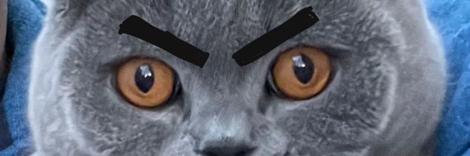 ConnorOzanne's profile banner image