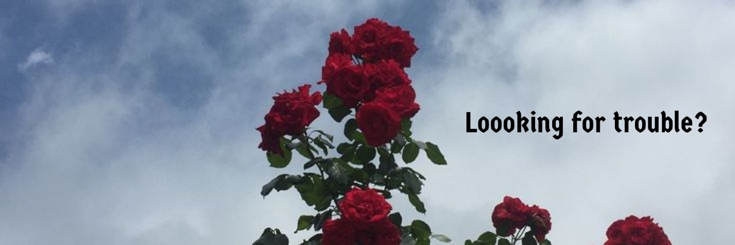 urttrouble_'s profile banner image