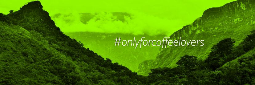 labcaffe's profile banner image