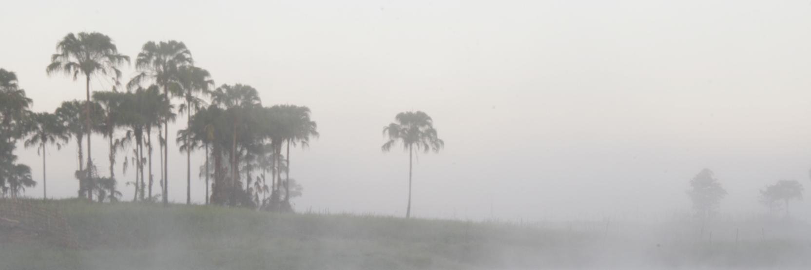 paulchatterton's profile banner image