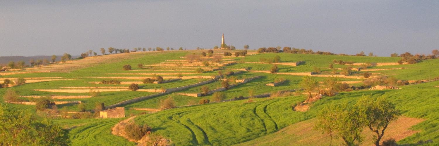 Miquel Parramon banner