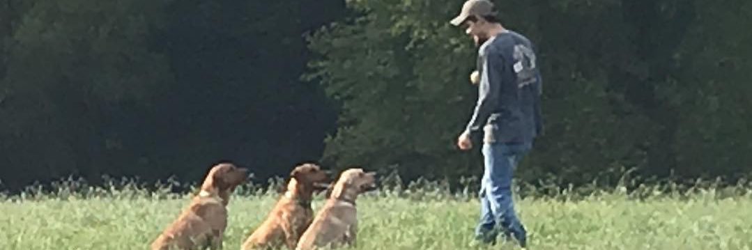 _ZACH__ATTACK_'s profile banner image