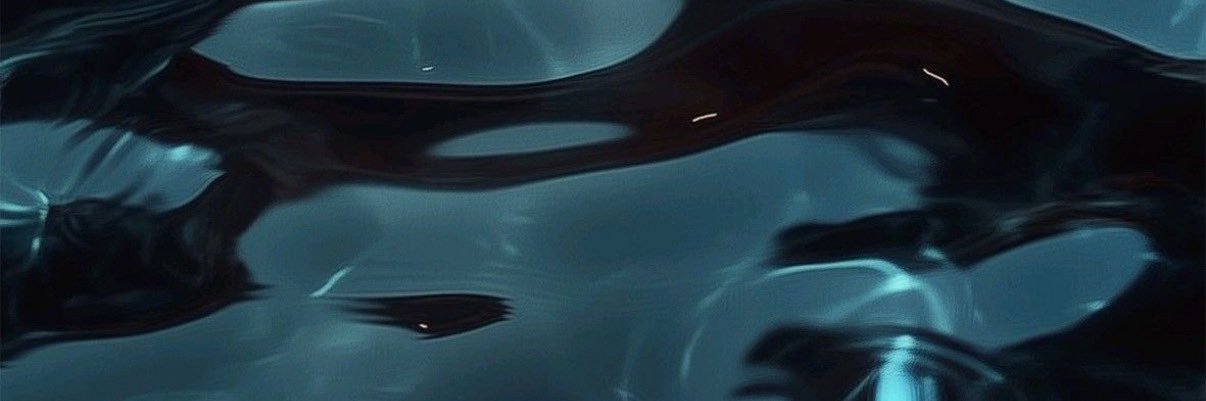 Lori banner